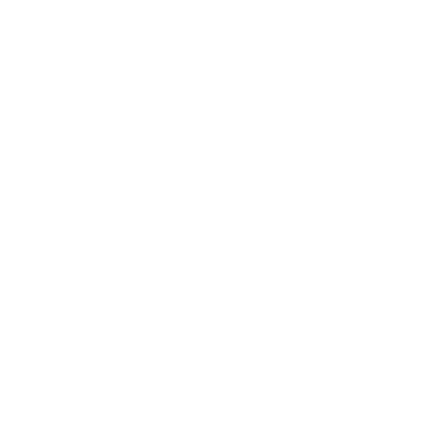 brain with circuit